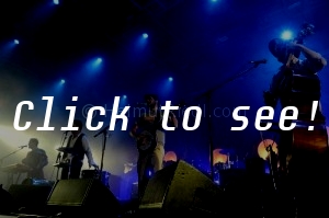 MUMFORD & SONS @ Harvest Of Art, Wiesen 2012