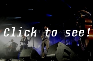 MUMFORD & SONS @ Harvest Of Art, Wiesen 2012
