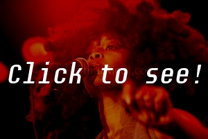 ERYKAH BADU_JFW_c_HELMUT_RIEDL_ 27.07.2008 00-045