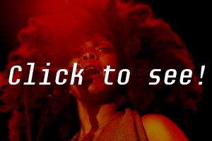 ERYKAH BADU_JFW_c_HELMUT_RIEDL_ 27.07.2008 00-046