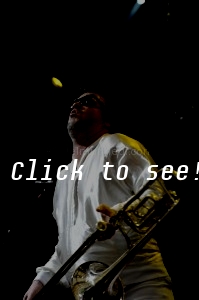 FAT FREDDY'S DROP @Sunsplash, Wiesen 2012
