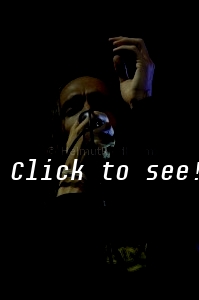 INCUBUS @ Forestglade, Wiesen 2012