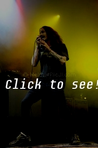 INCUBUS @ Forestglade, Wiesen 2012
