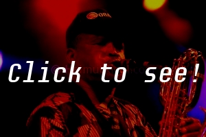 SEUN ANIKULAPO KUTI & EGYPT80_SSW_c_HELMUT_RIEDL_ 15.08.2008 00-21
