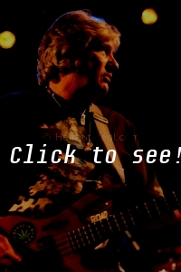 THE TROGGS_Wiesen_c_HELMUT_RIEDL_ 10.05.2008 23-036