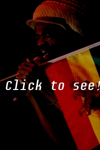 COCOA TEA_SSW_c_HELMUT_RIEDL_ 24.08.2004 02-031