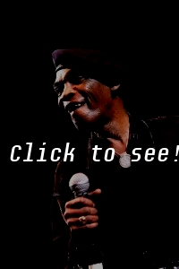 DESMOND DEKKER_SVW_c_HELMUT_RIEDL_ 17.06.2005 23-040