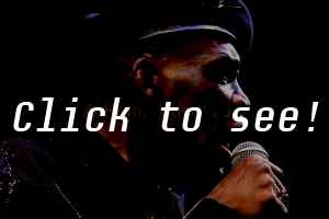 DESMOND DEKKER_SVW_c_HELMUT_RIEDL_ 17.06.2005 23-051