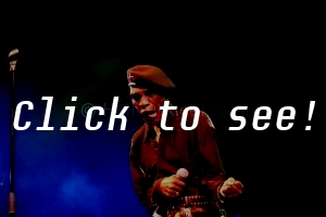 DESMOND DEKKER_SVW_c_HELMUT_RIEDL_ 17.06.2005 23-27