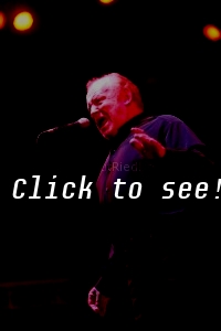 JOE COCKER_Wiesen_c_HELMUT_RIEDL_ 14.07.2007 22-007
