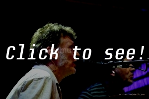 STEVE WINWOOD_LDW13_© HELMUT RIEDL -1232