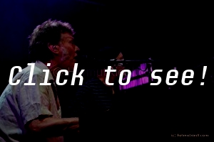 STEVE WINWOOD_LDW13_© HELMUT RIEDL -1297