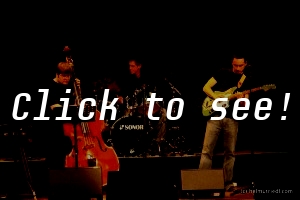 SILVIO SINZINGER TRIO_Jazz2700WRN09_© HELMUT RIEDL-10151