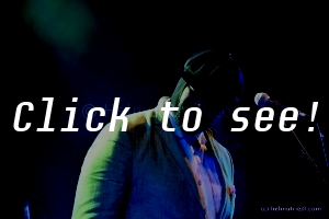GREGORY PORTER_Jazz&Blues-Wiesen_190714_(c)HELMUT RIEDL-9162