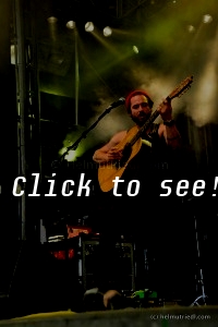 JOHN BUTLER TRIO_Jazz&Blues-Wiesen_190714_(c)HELMUT RIEDL-8797