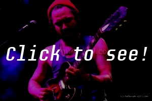 JOHN BUTLER TRIO_Jazz&Blues-Wiesen_190714_(c)HELMUT RIEDL-8841