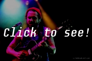JOHN BUTLER TRIO_Jazz&Blues-Wiesen_190714_(c)HELMUT RIEDL-8874