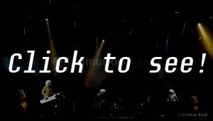 JOHANN SEBASTIAN BASS_NovaJazzBluesNight_120715_(c)HELMUT_RIEDL_-4004