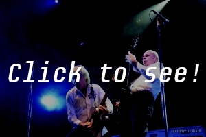 STATUS QUO_LovelyDays_030715_(c)HELMUT_RIEDL_-2907